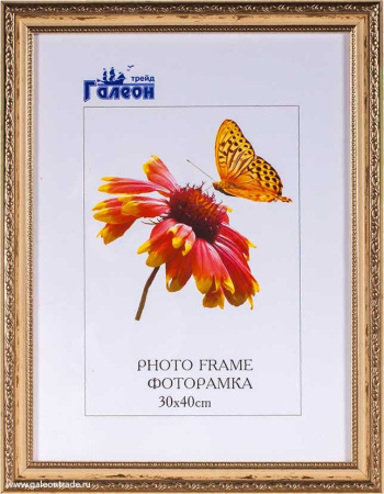 Фоторамка 30х40 /3101С-213А/