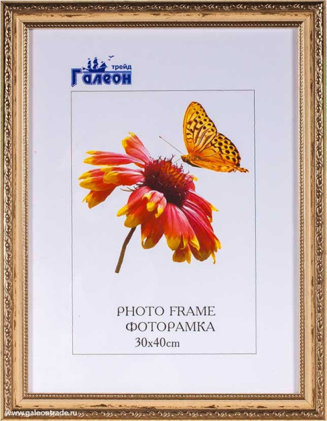 Фоторамка 30х40 /3101С-213А/