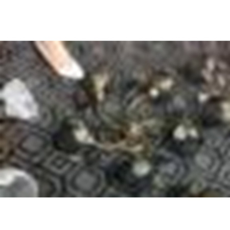 Люстра классическая / K2681-5 /уп 4/