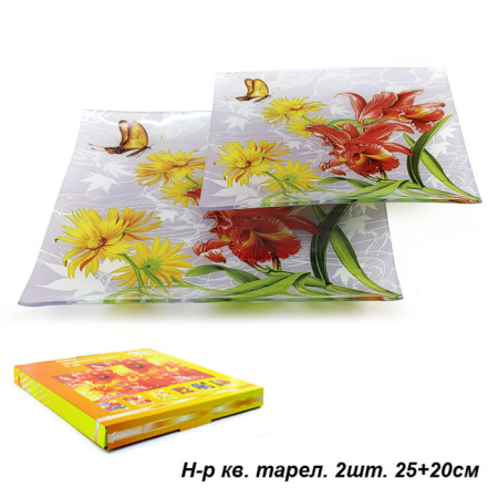 Тарелки квадратные 2 предмета 25 и 20 см / 1002-Z294 /уп.12/