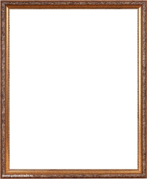 649912.jpg