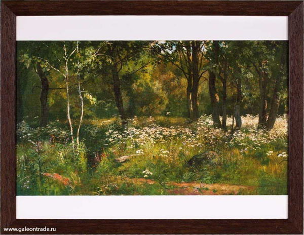 Репродукция картины 30х40 Лесная поляна 1880-1890г/ Шишкин И.И/10044-4/ Киевский музей русского иску