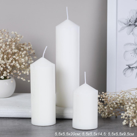 731304.jpg