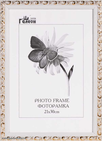 Фоторамка 21х30 /2025C-012AL1/