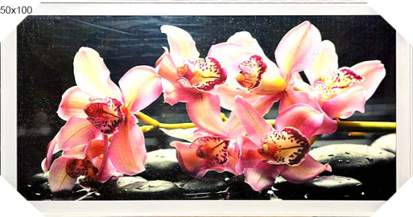 Постер в раме 50х100   / К798/8031-19/