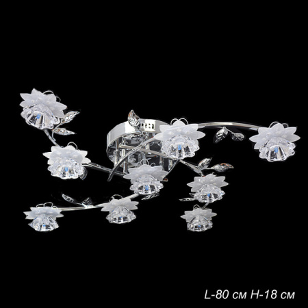 Основное фото