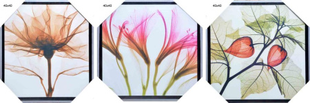 Картина - триптих 40x40 /HA-5557,5558,5559 /2002B-012C/уп.3/