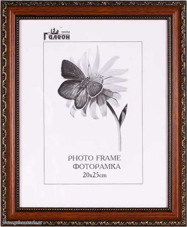 Фоторамка 20х25 /10024-1/