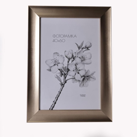 729593