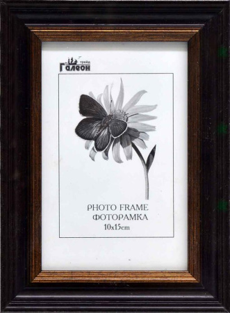 Фоторамка 10х15 /343-225/