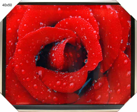 Картина глянцевая 40*50 HC-171/2002B-012C/пл.
