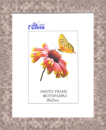 Фоторамка 20х25 /2703G-166X/