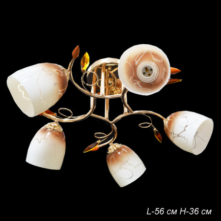 Основное фото