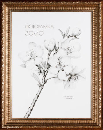 Фоторамка 40х60 /DX1584G-2/