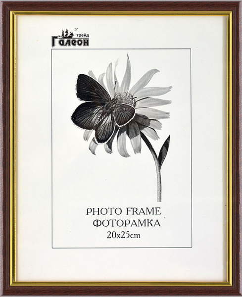 Фоторамка 20х25 /1300В-703А1/