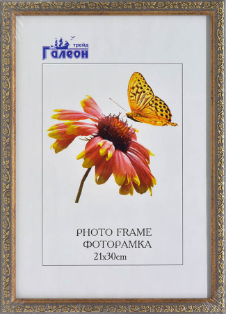 Фоторамка 21х30 /10108-3/уп10/