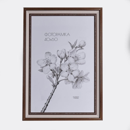 Фоторамка 45х56 /317-2G/