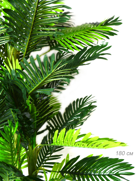 679818_1.jpg
