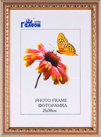 Фоторамка 21х30 /10095-3/