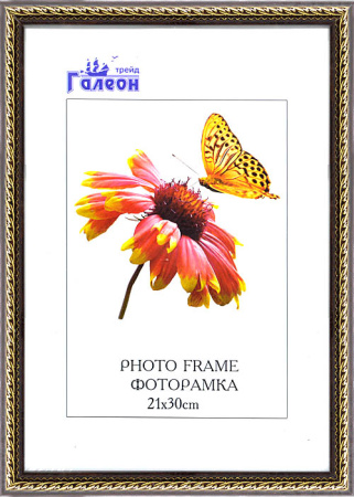 Фоторамка 21х30 /1606C-017F1/