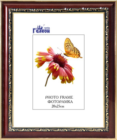 Рамка 20*25/3303C2-174A1/стекло,ф/задник,вклад