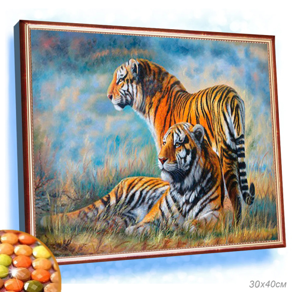 Картина из страз 30x40 / YSG0217 /уп 40/ (50)