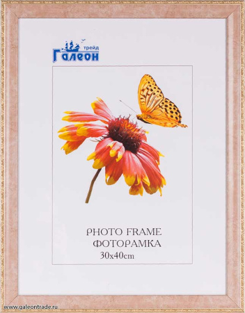 Фоторамка 30х40 /10122-2/