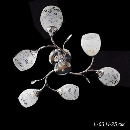 Основное фото