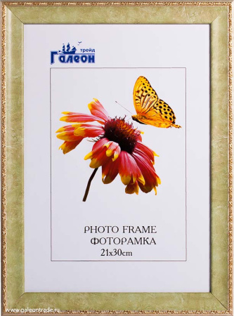 Фоторамка 21х30 /10122-3/
