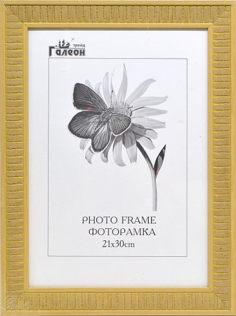 Фоторамка 21х30 /JR099-5149/