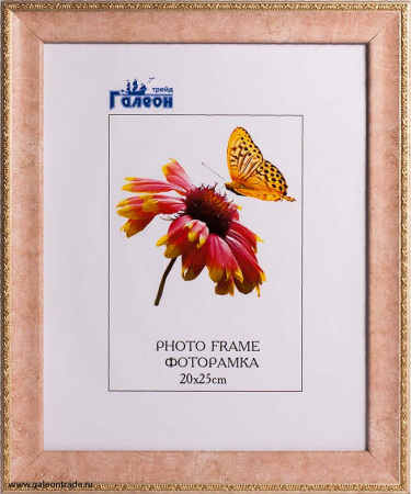 Фоторамка 20х25 /10122-2/