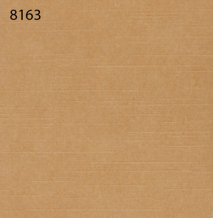 Паспарту 77*107см 1.0ММ 8163 /уп.1/50/