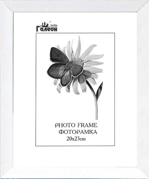 Рамка 20*25/2004A-012AL/стекло,ф/задник,вклад