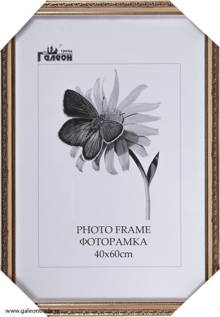 Фоторамка 40х60 /3101С-213А/