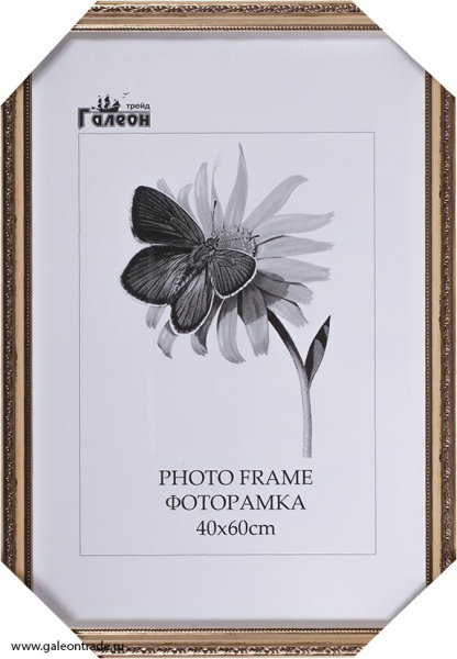 Фоторамка 40х60 /3101С-213А/