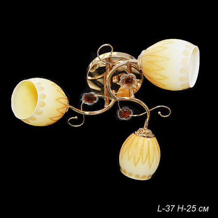 Основное фото