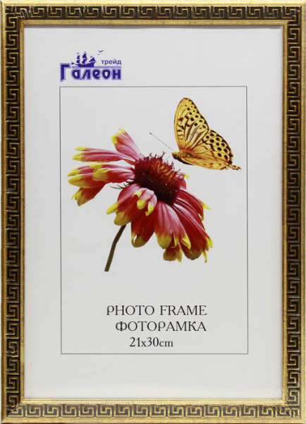 Фоторамка 21х30 /1904C-011A /