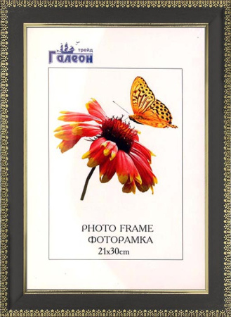 Фоторамка 21х30 /2808C-002A1/