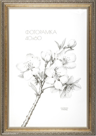 Фоторамка 40х60/HT7040-80/