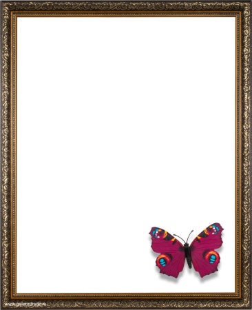 691184.jpg