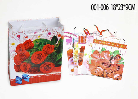 Пакет подарочный 18X23X9 /001-006/уп.960/