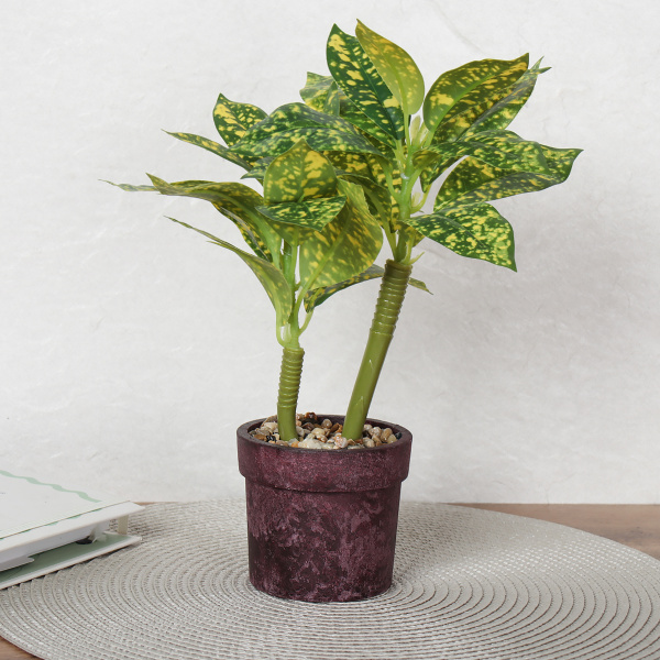 722475!В крапинку.jpg