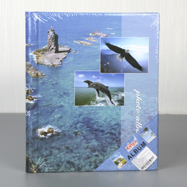 607269-2.jpg