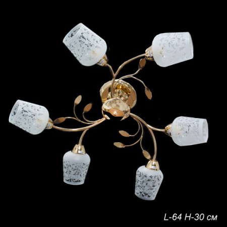 Основное фото