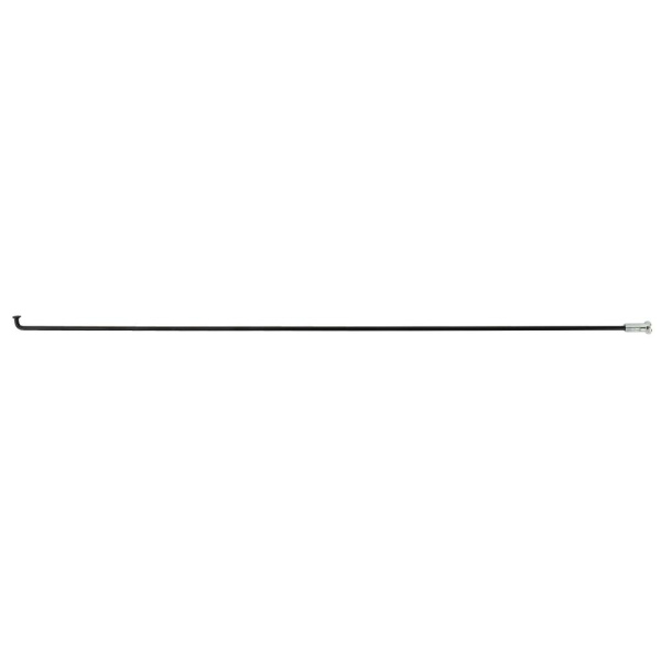 753023.jpg