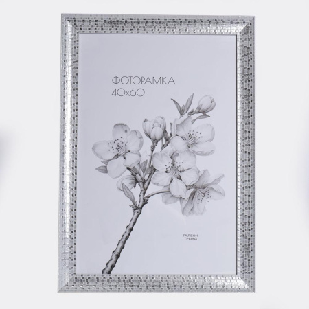 Фоторамка 45х56 /3016-2G/