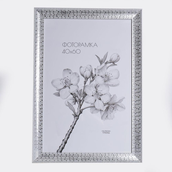 Фоторамка 45х56 /3016-2G/