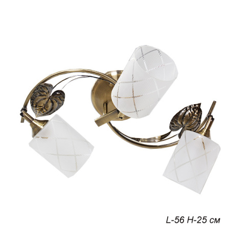 Основное фото