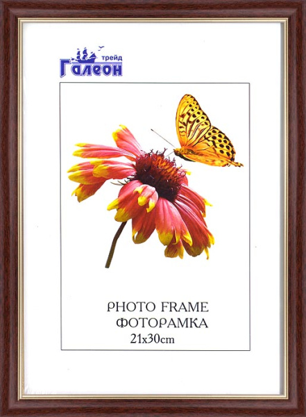 Фоторамка 21x30 /1503B-703A1/