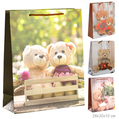 Пакет подарочный 26x32x10 / 24821M /уп 12/480/ (50)